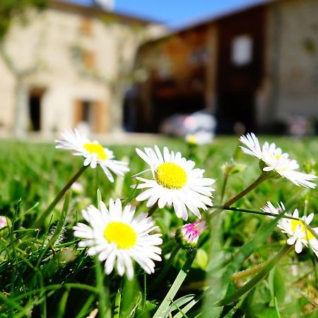 La Ferme Des Denis Chambres Dhotes Chanos-Curson 外观 照片