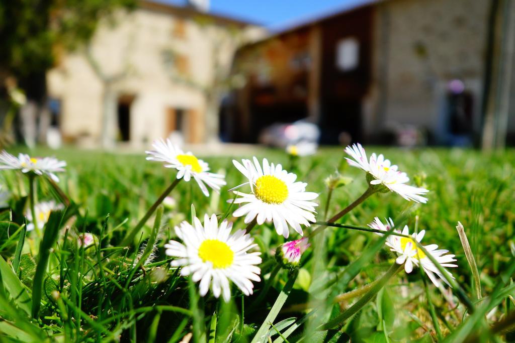La Ferme Des Denis Chambres Dhotes Chanos-Curson 外观 照片
