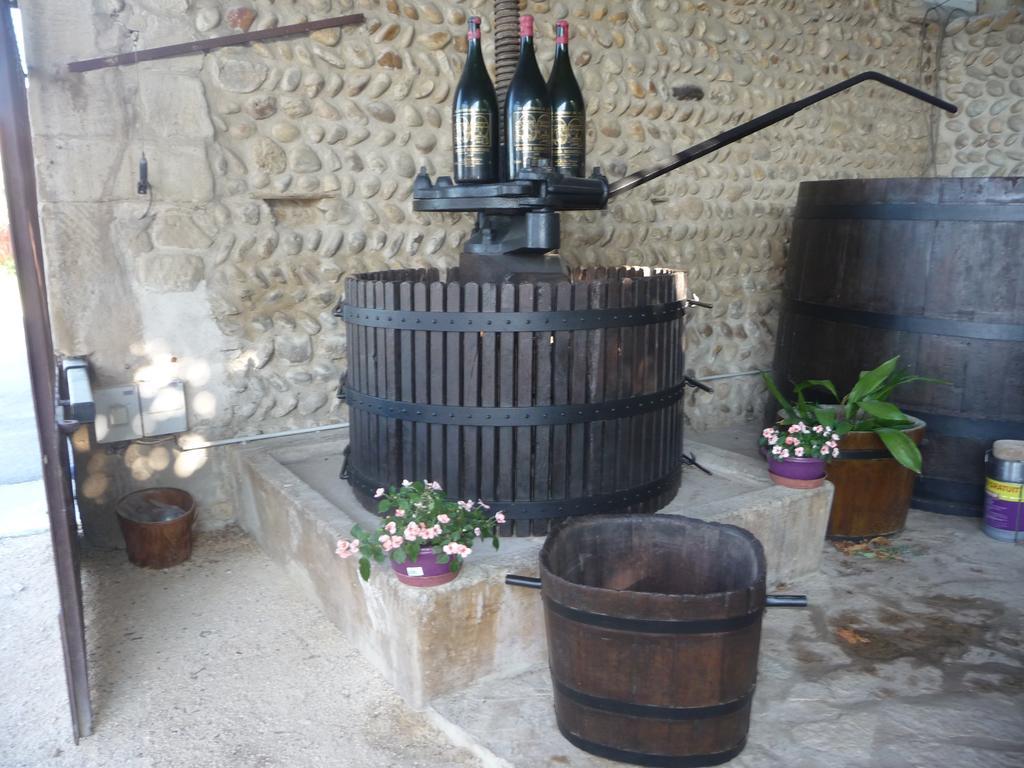 La Ferme Des Denis Chambres Dhotes Chanos-Curson 外观 照片